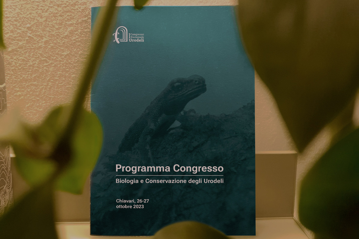 Programma